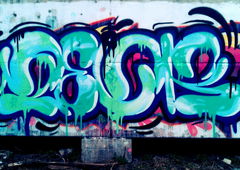 Photo #87067 by dubtroe