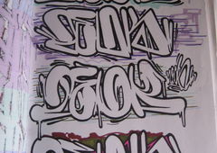 Photo #87072 by dubtroe