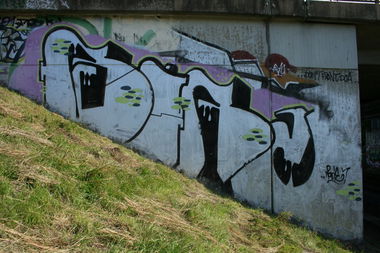 Graffiti Bombing - Photo by ZerOne - BIRZ