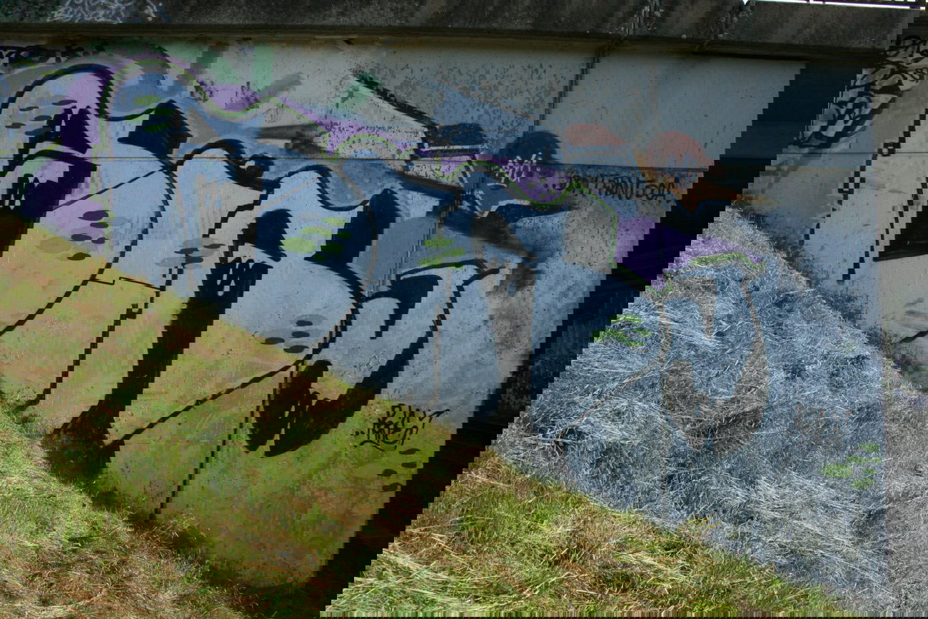 Graffiti Bombing - Photo by ZerOne - BIRZ