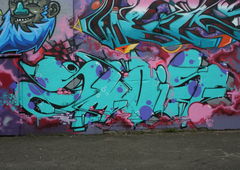 Photo #40479 by TagHagel