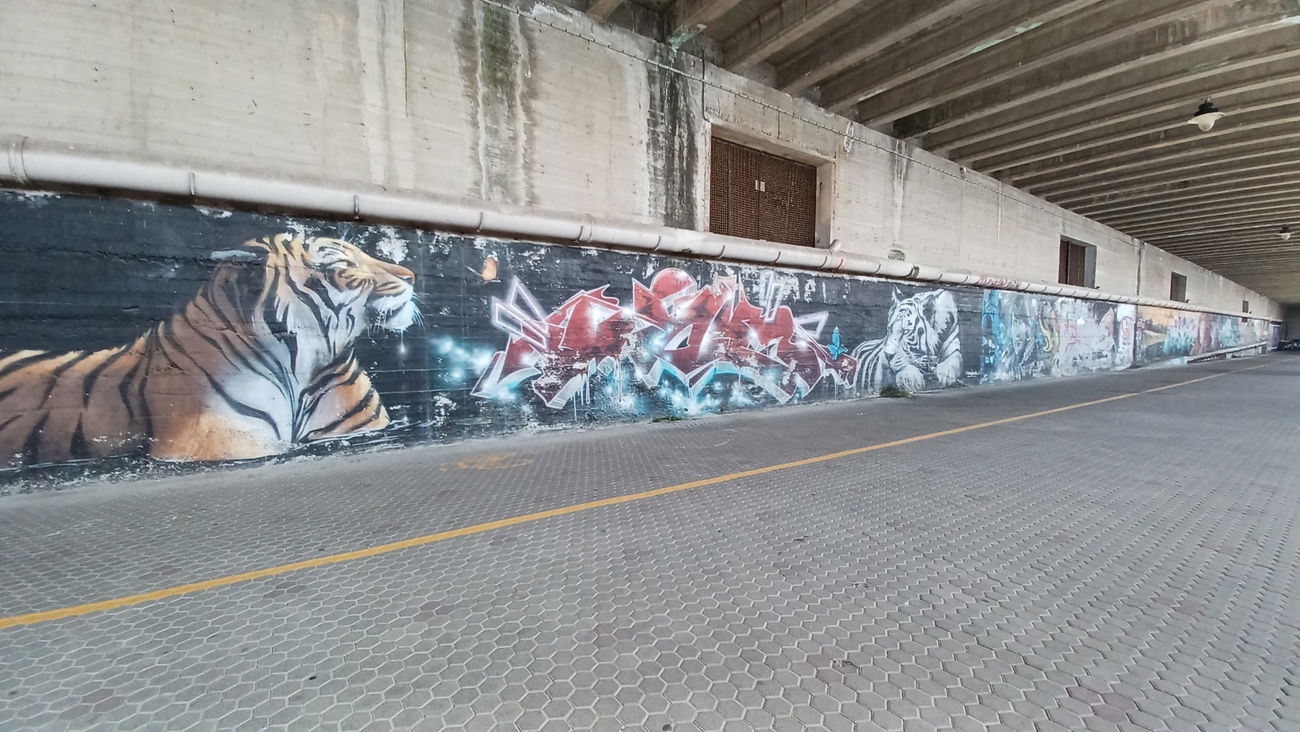 Graffiti Wall in Arenzano - Photo by ZeroGraffiti - Davide