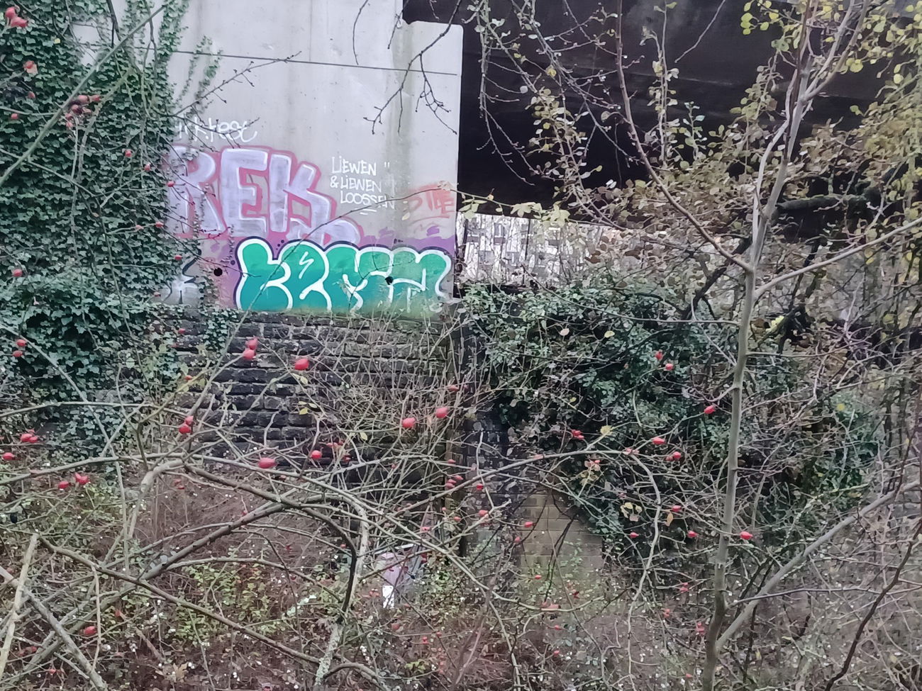 Graffiti Wall in Luxembourg - Photo by ZeroGraffiti - Tema, Ofrek