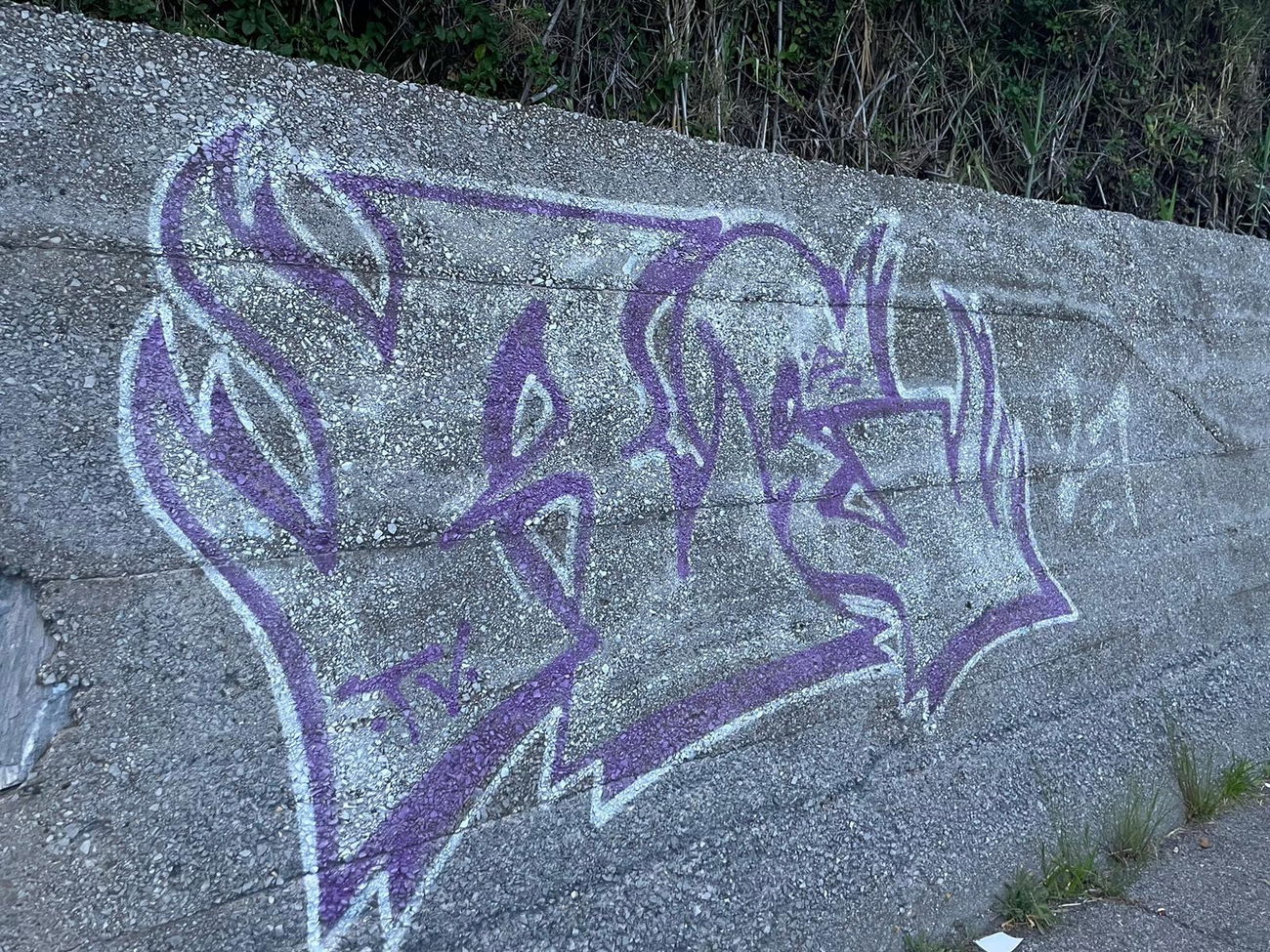 Graffiti Wall in Cogoleto - Photo by ZeroGraffiti - Reale (2021)