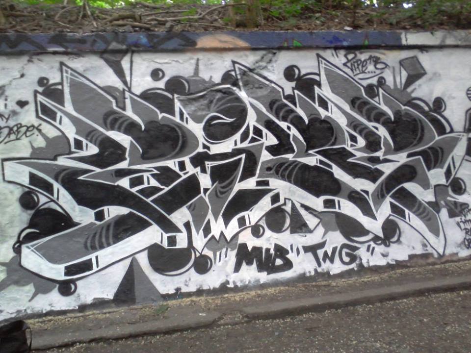 Graffiti Wall - Photo by Zipe196 - Sipe, Zipe, TNG (2014)