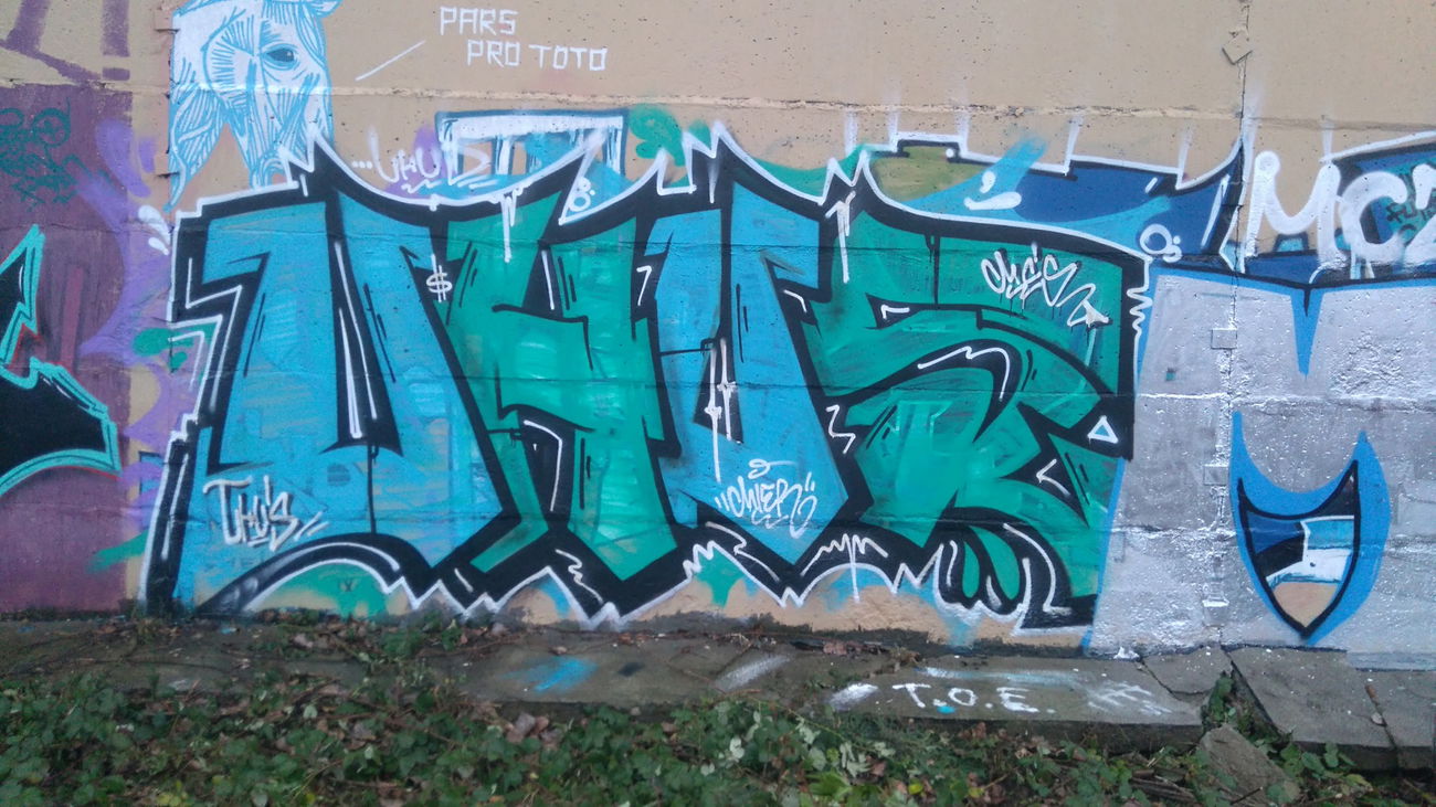 Graffiti Bombing - Photo by Zivilpolizist - UHUS, UHU, UHUZ