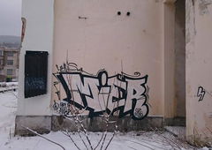 Graffiti Bombing - Photo by Zivilpolizist - UHUS, UHUZ, UHU