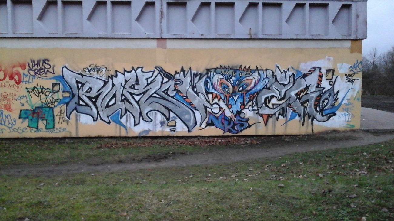 Graffiti Bombing - Photo by Zivilpolizist - roks, vok, voke