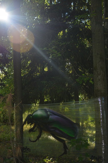 Graffiti Wall - Photo by Znack - znack, msi, messuri (2015)