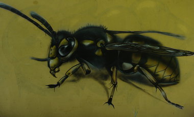 Graffiti Wall - Photo by Znack - znack, msi, messuri (2015)