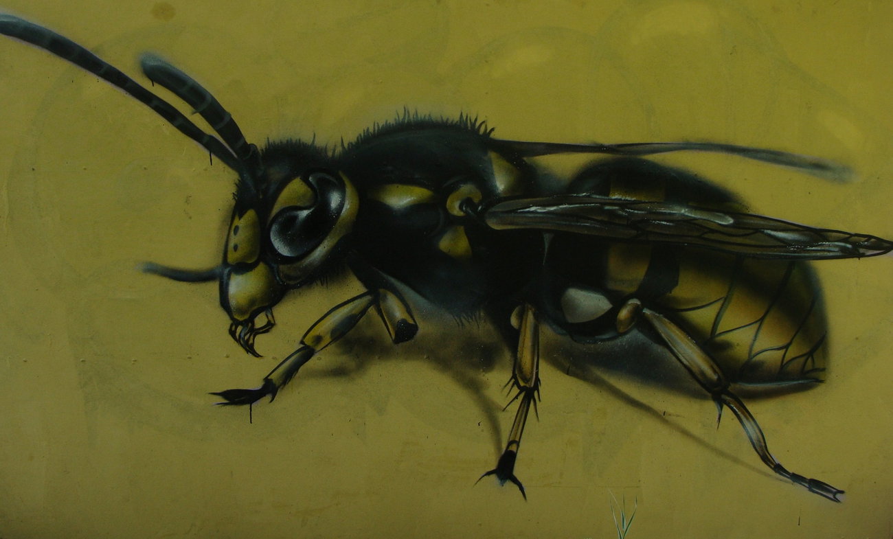 Graffiti Wall - Photo by Znack - znack, msi, messuri (2015)