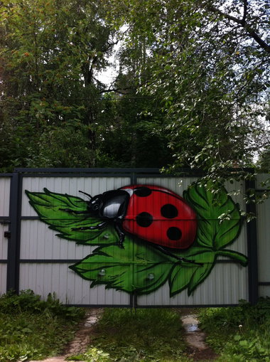 Graffiti Wall - Photo by Znack - znack, msi, messuri (2016)