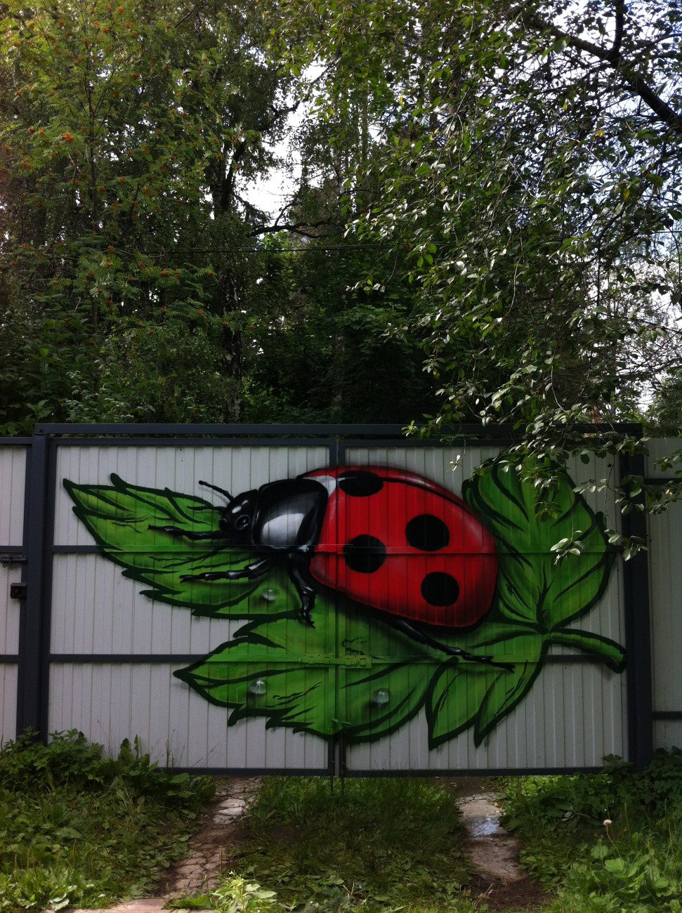 Graffiti Wall - Photo by Znack - znack, msi, messuri (2016)