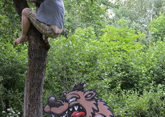 Graffiti Wall - Photo by Znack - znack, msi, messuri (2014)