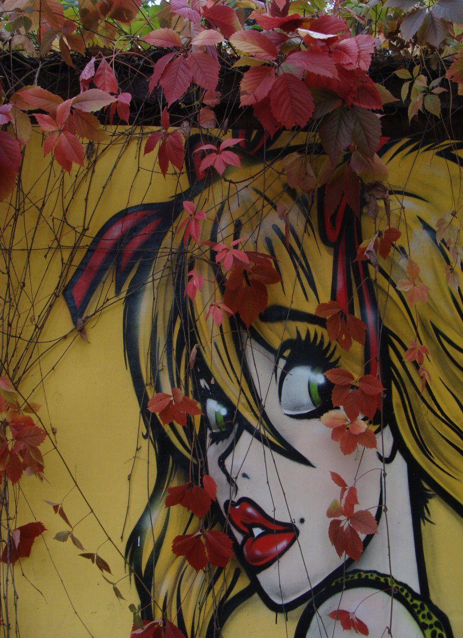 Graffiti Wall - Photo by Znack - znack, msi, messuri (2015)