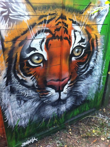 Graffiti Wall - Photo by Znack - znack, msi, messuri (2014)