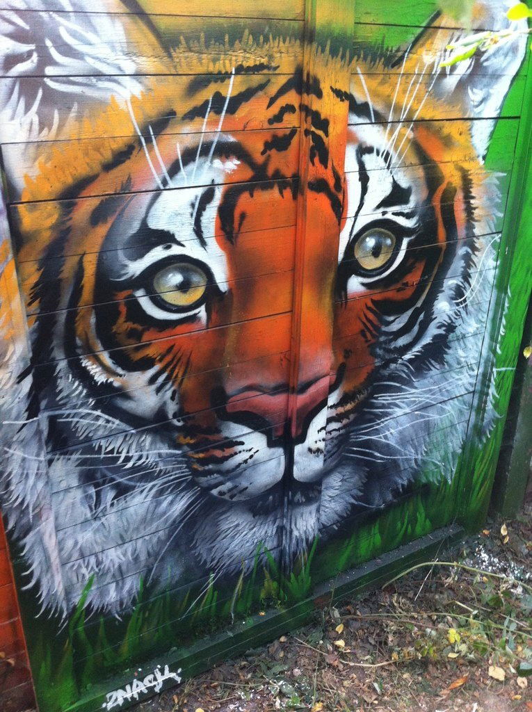 Graffiti Wall - Photo by Znack - znack, msi, messuri (2014)