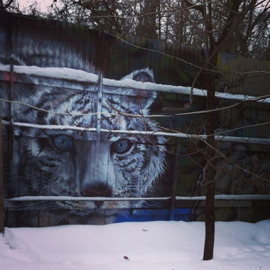 Graffiti Wall - Photo by Znack - znack, msi, messuri (2014)