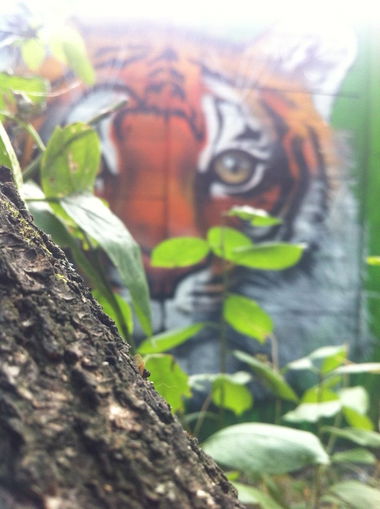 Graffiti Wall - Photo by Znack - znack, msi, messuri (2014)