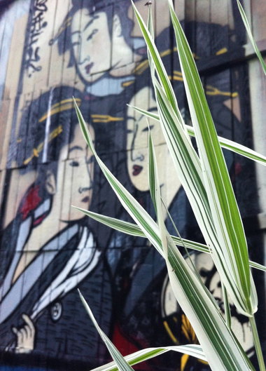 Graffiti Wall - Photo by Znack - znack, msi, messuri (2015)