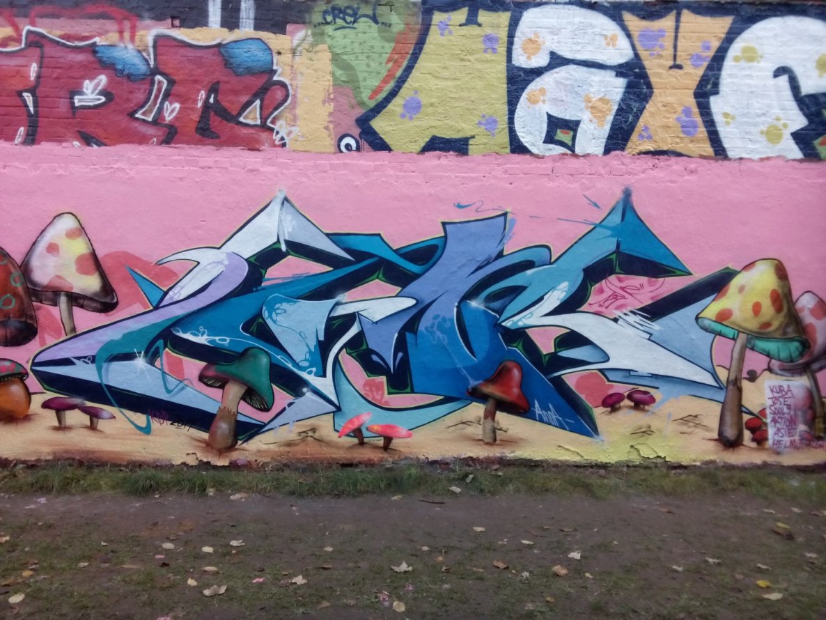Graffiti Wall - Photo by Zone - zone, pad, leipzig (2014)