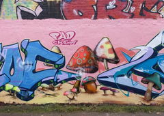 Photo #125499 by Vamoso