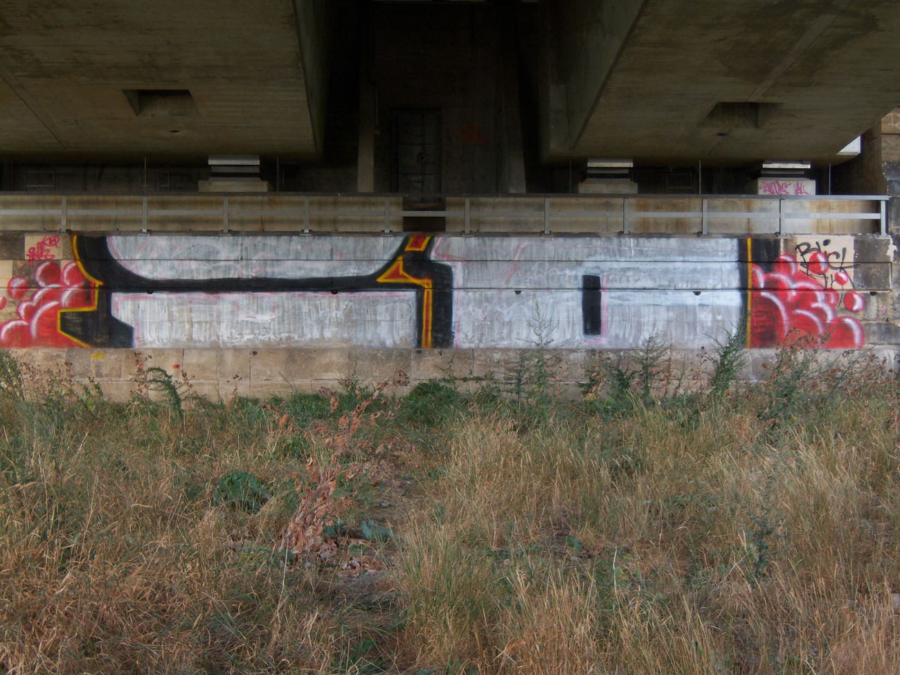 Graffiti Bombing - Photo by Zonker - io (2010)