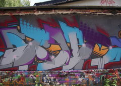 Graffiti Wall - Photo by ZweR - ALIVE (2011)