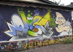 Graffiti Wall - Photo by ZweR - RISK (2011)