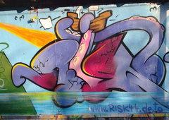 Graffiti Wall - Photo by ZweR - RISK (2010)