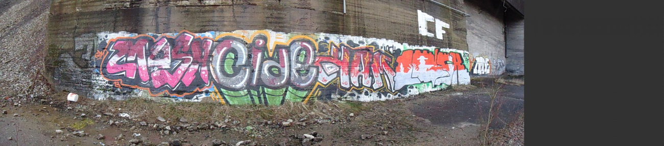 Graffiti Wall - Photo by ZweR