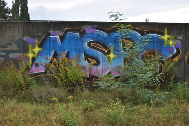 Graffiti Bombing - Photo by ZweR