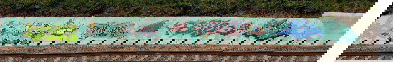 Graffiti Bombing - Photo by ZweR