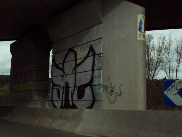 Graffiti Bombing - Photo by ZweR