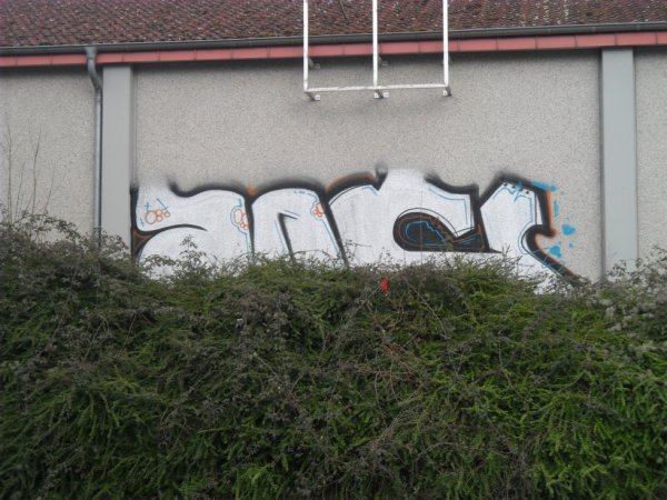 Graffiti Bombing - Photo by ZweR