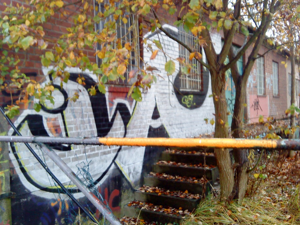 Graffiti Bombing - Photo by ZweR