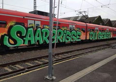 Photo #99136 by Srbriggedugler