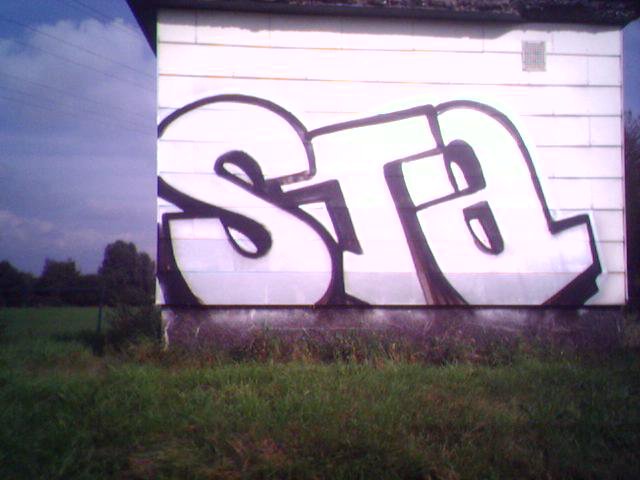 Graffiti Bombing - Photo by ZweR