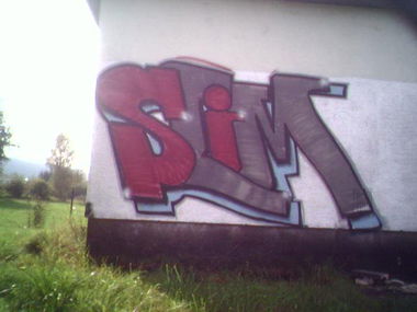 Graffiti Bombing - Photo by ZweR