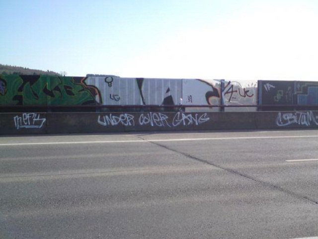 Graffiti Bombing - Photo by ZweR