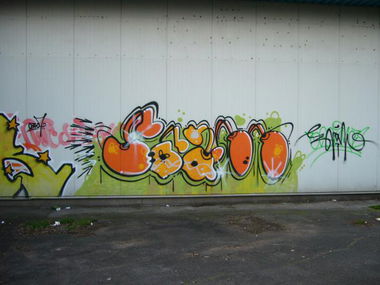 Graffiti Bombing - Photo by ZweR