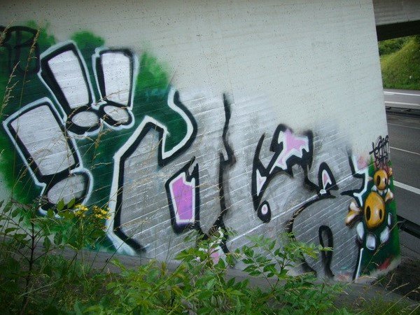 Graffiti Bombing - Photo by ZweR