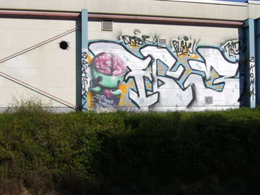 Graffiti Wall - Photo by ZweR