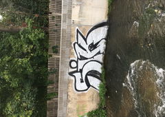 Photo #229076 by bocat