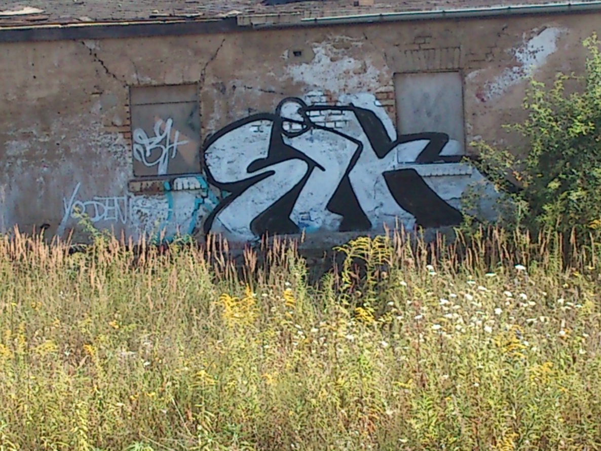 Graffiti Bombing - Photo by Zwiespalt - SIK (2013)