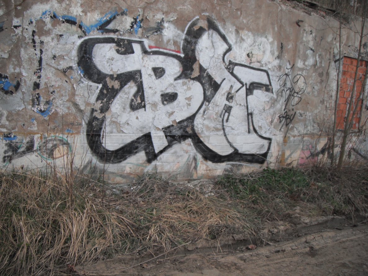 Graffiti Bombing - Photo by Zwiespalt - BHS, crew (2014)