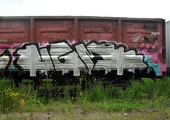 Photo #225606 by Wemd