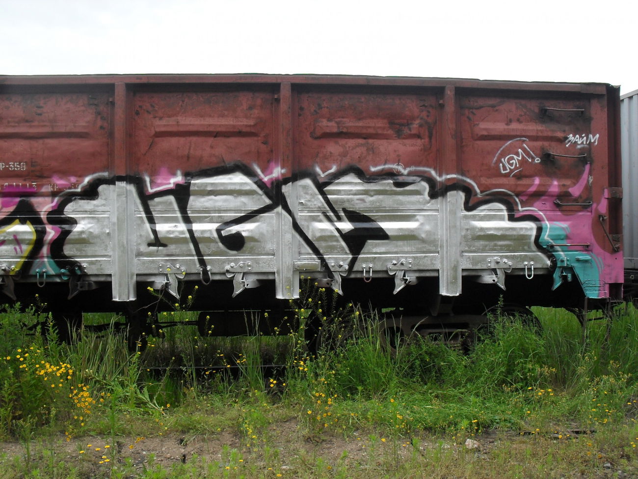 Graffiti Train - Photo by Zyme