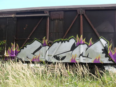 Graffiti Train - Photo by Zyme