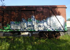 Photo #225599 by Homs